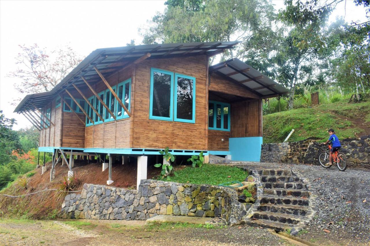 Вилла Casa De Bambu Турриальба Экстерьер фото